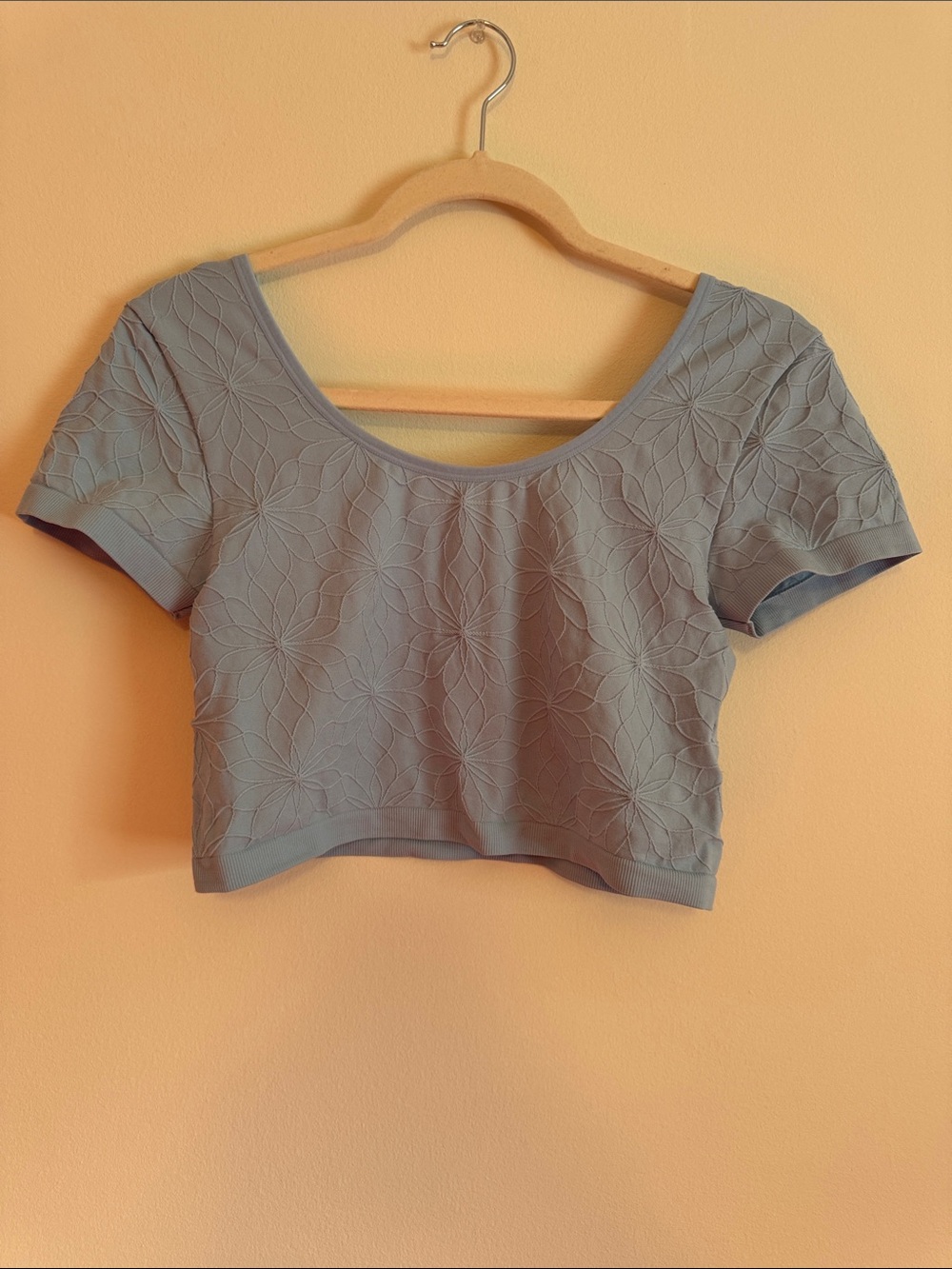 American Eagle Outfitters Floral Textured Scoop Crop Top - Light blue